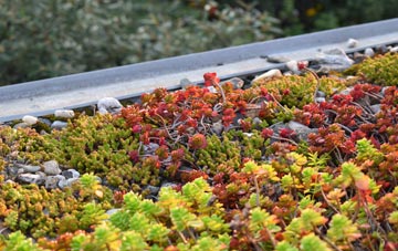 the cost of St Margaret South Elmham green roof installation