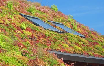 St Margaret South Elmham living roof systems